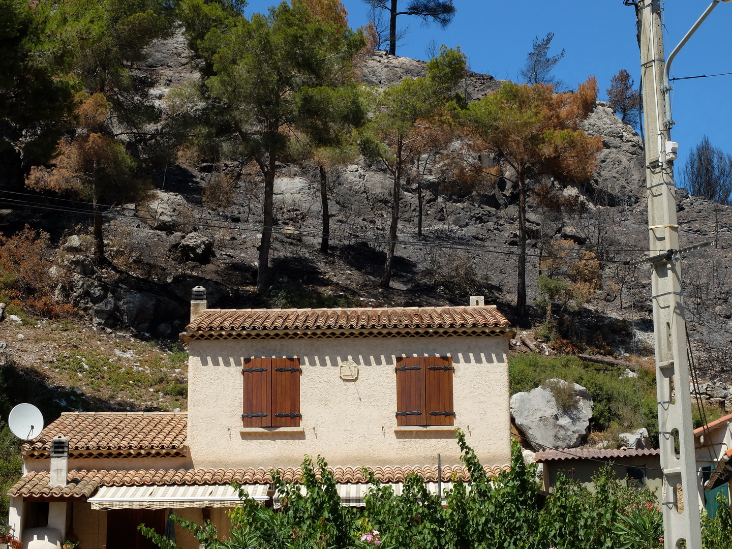 Photo 01 crédits ONF