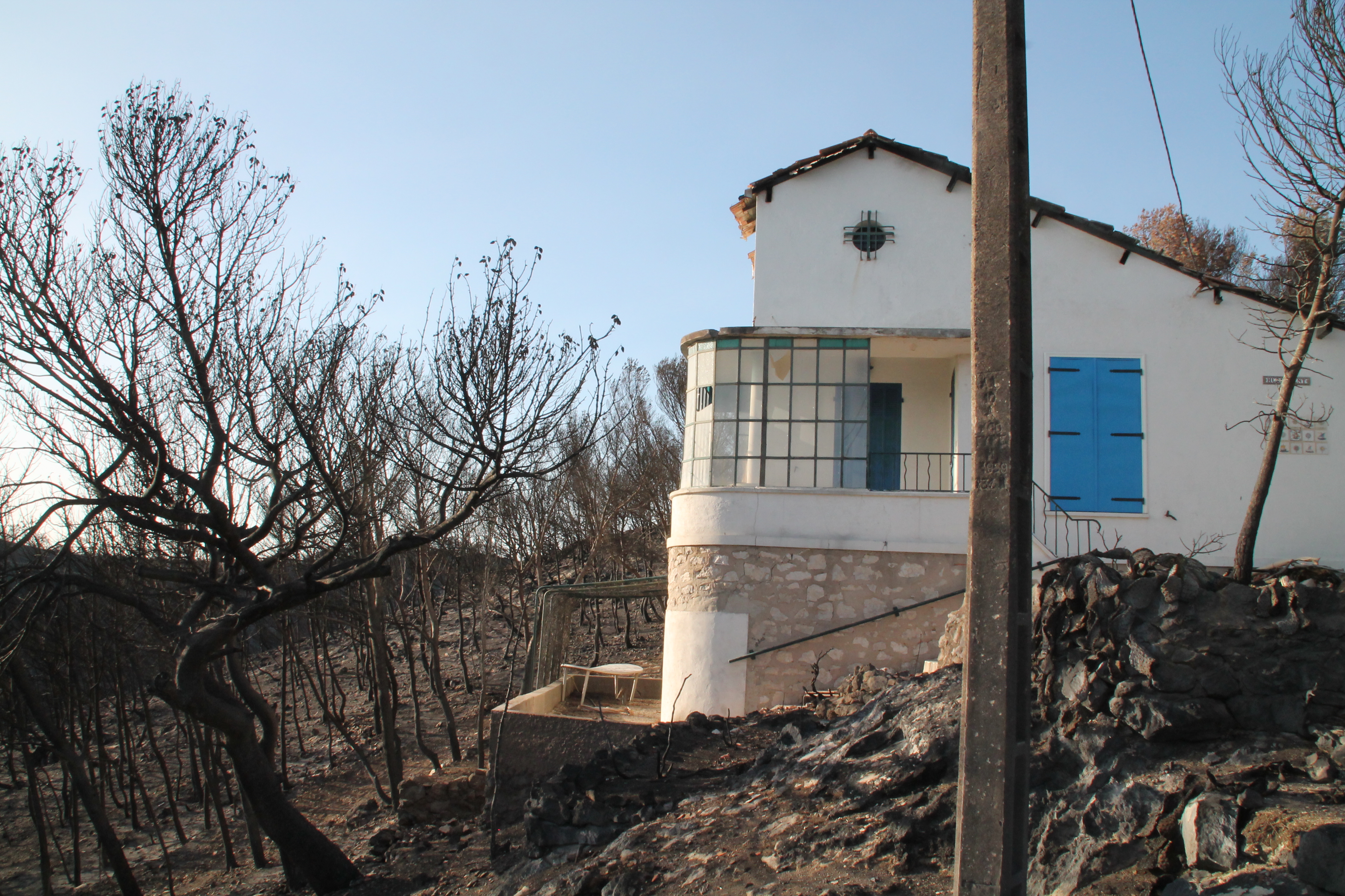 Photo 02 crédits ONF