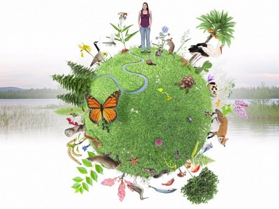 La Biodiversité à Allenc