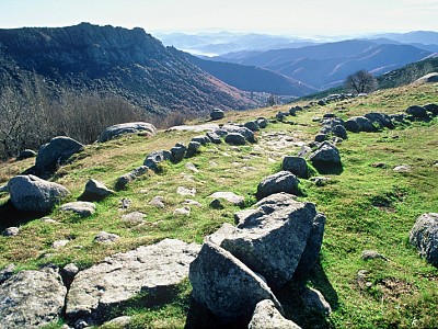 Activité Commerciale